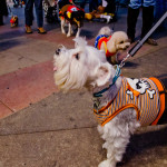 Pics From 2013 Dog Parade (Halloween in Burbank)